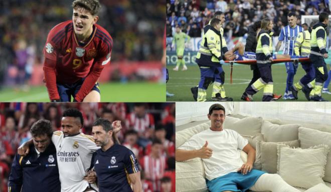 体育相关部 体育相关部